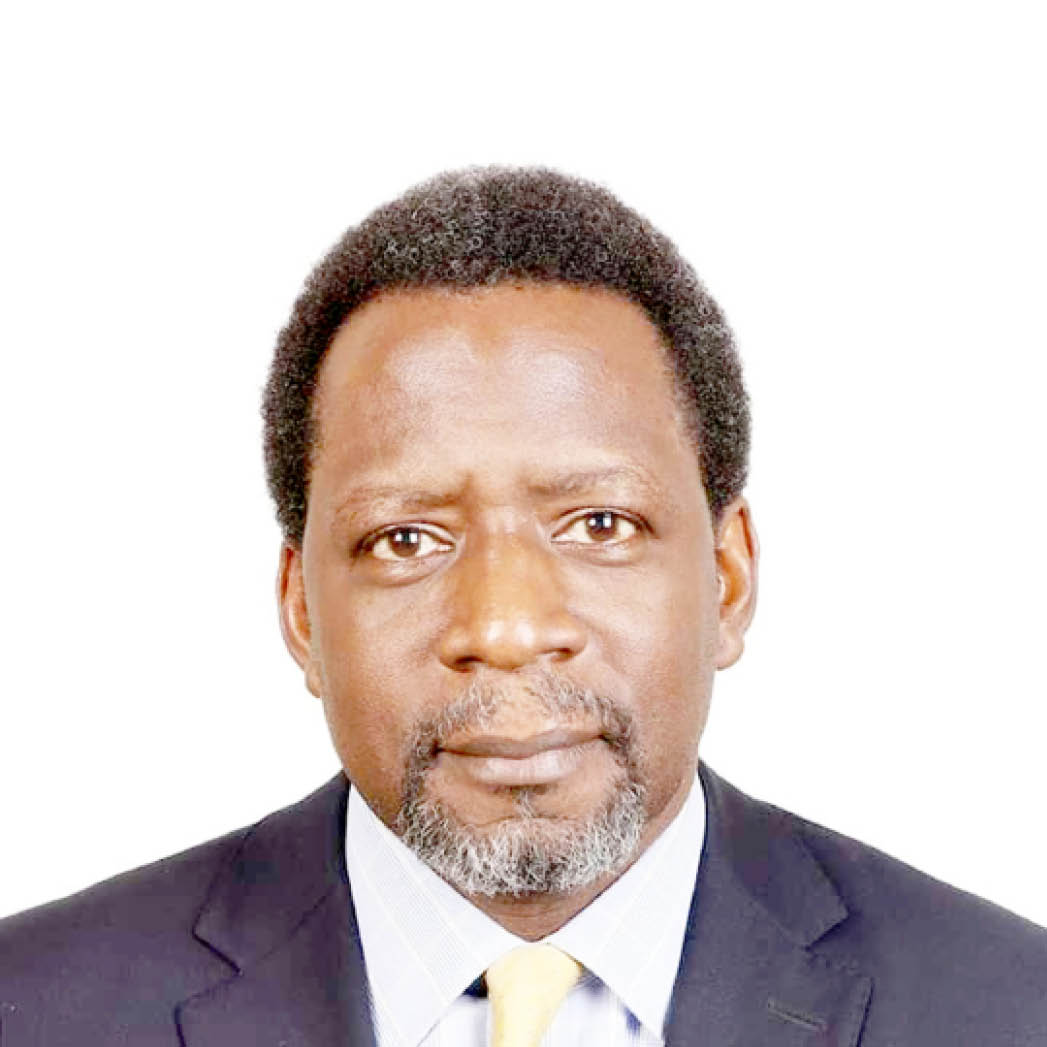 H. E. Ambassador Martin Senkom Adamu